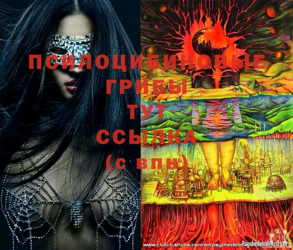 мяу мяу кристалл Переславль-Залесский