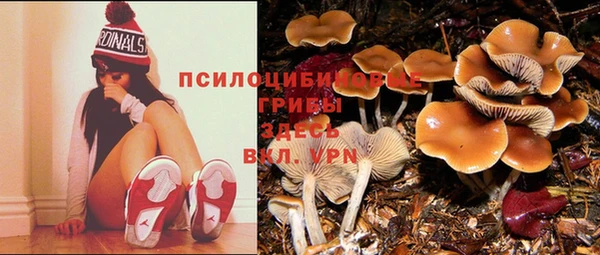 спайс Кинешма