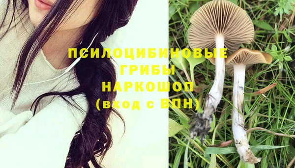 PSILOCYBIN Киренск