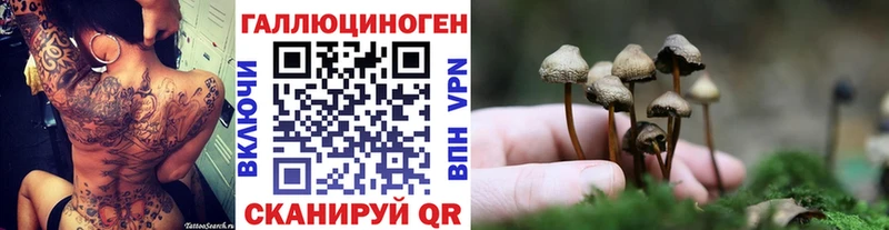 цены   Ивангород  kraken tor  Псилоцибиновые грибы Cubensis 
